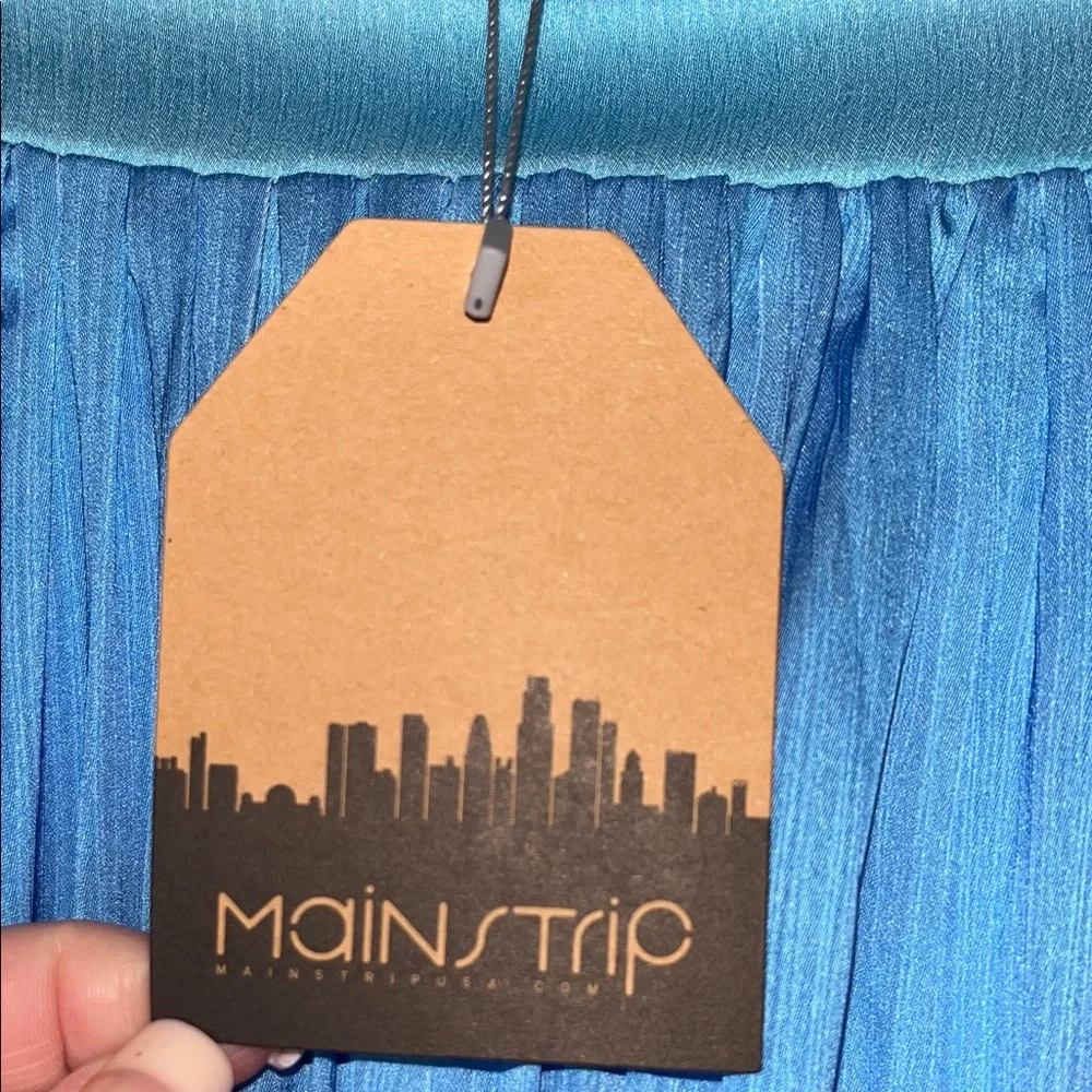 NWT Main Strip S Beautiful PleateBlue/Aqua/Teal Ombré Maxi Skirt. Fully lined. - Picture 2 of 6